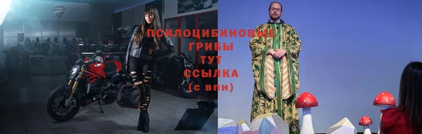 spice Володарск