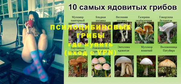 ALPHA PVP Волосово